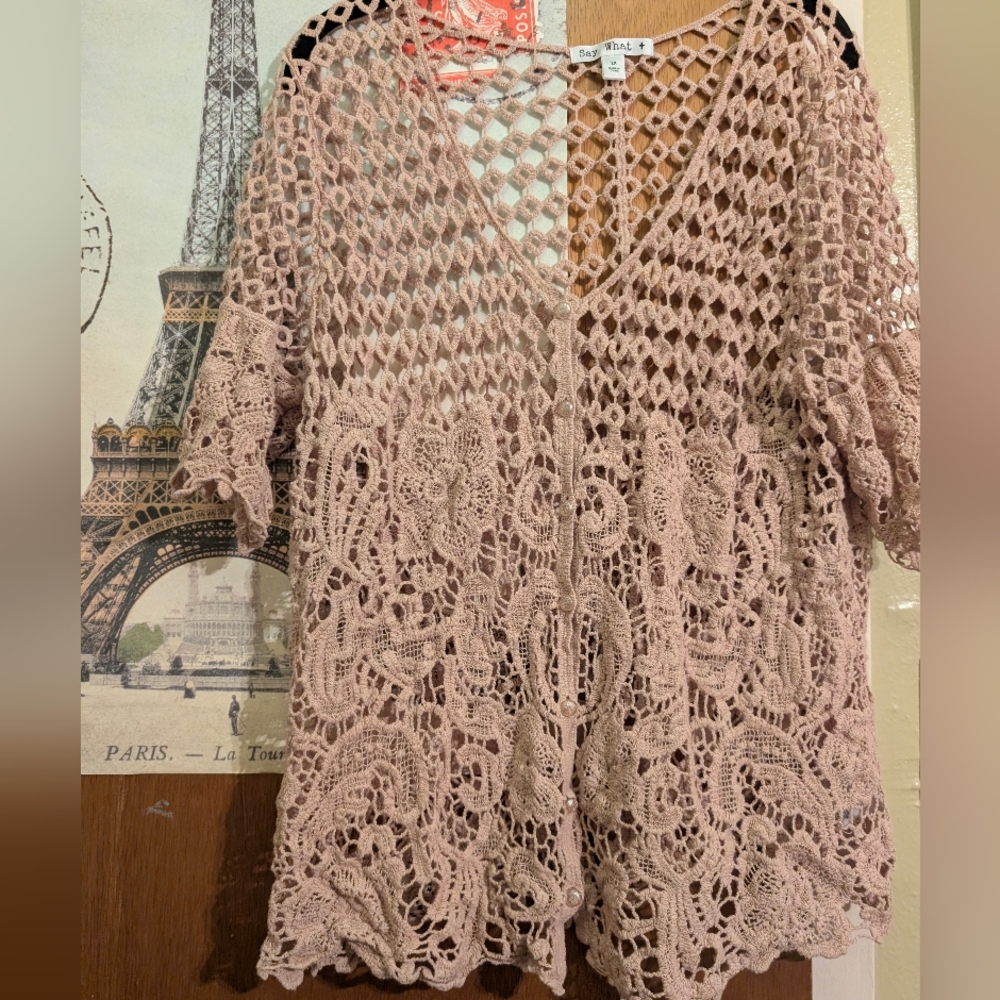 Say What? Crochet Lace Blouse in Light Pink